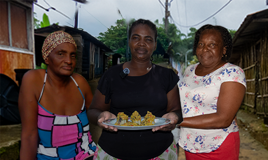 Comunidad Fogón Raíz